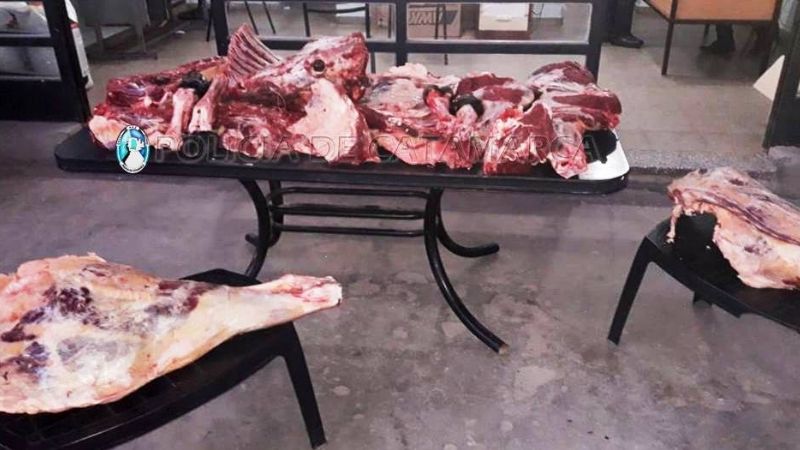 Decomisan pescado y carne vacuna en un puesto caminero de Valle Viejo