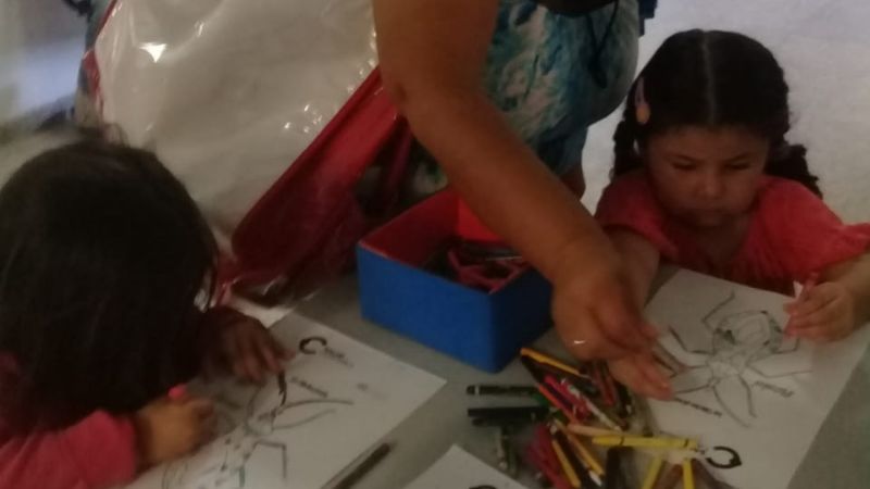 Acciones preventivas sobre Chagas para mujeres embarazadas