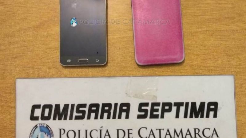 Encontraron al ladrón del celular de una mujer