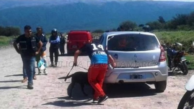 Perro detectó droga que un sujeto llevaba escondida en el auto