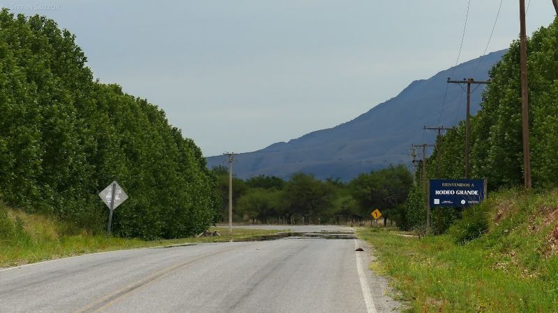 Motociclista chocó contra un caballo en la ruta 1