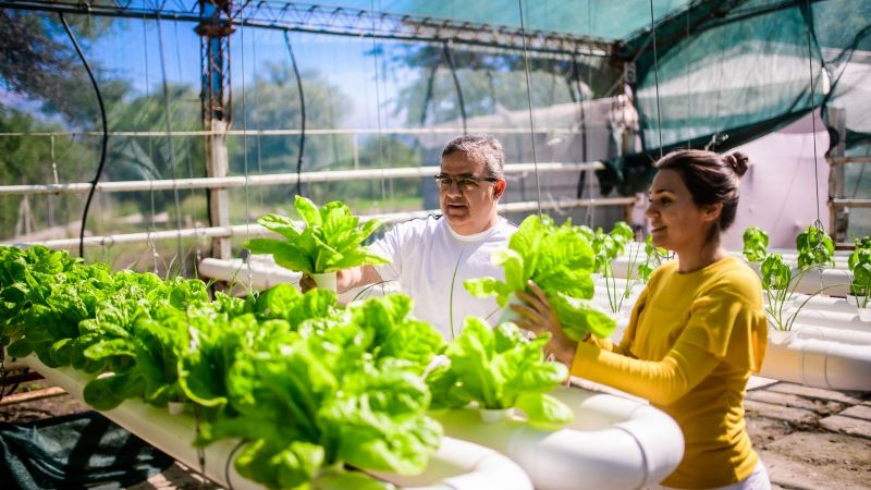 La Granja Educativa Municipal abre sus puertas el próximo lunes