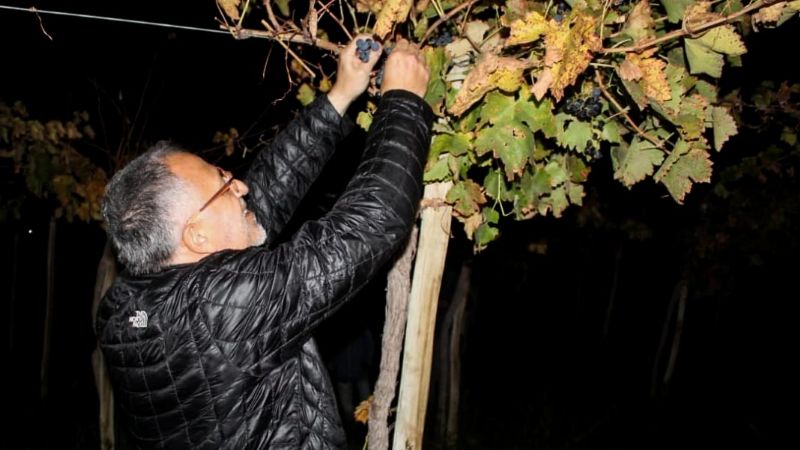 El senador Solá Jais en la "Cosecha de Luna Llena" en Fiambalá