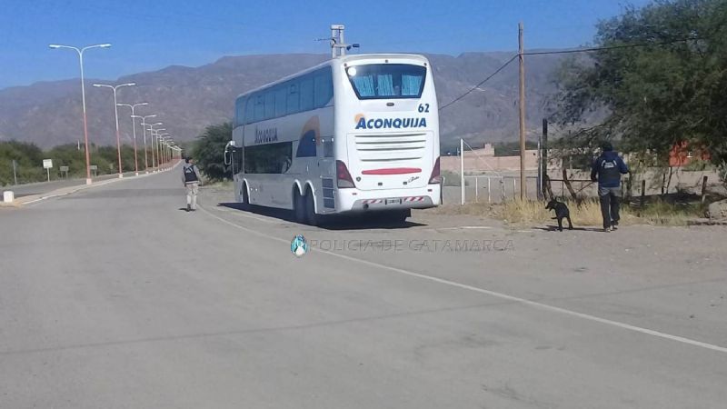 Operativo Pascua 2019: Detuvieron a 79 personas y secuestraron 279 vehículos