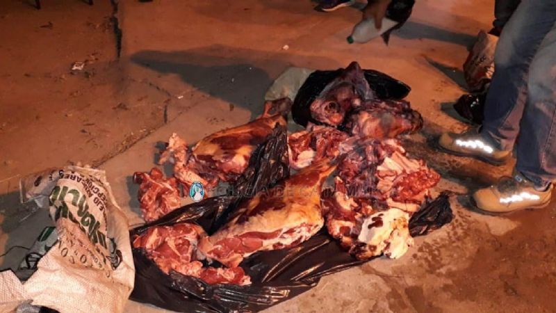 Llevaba en el baúl del auto 100 kilos de carne