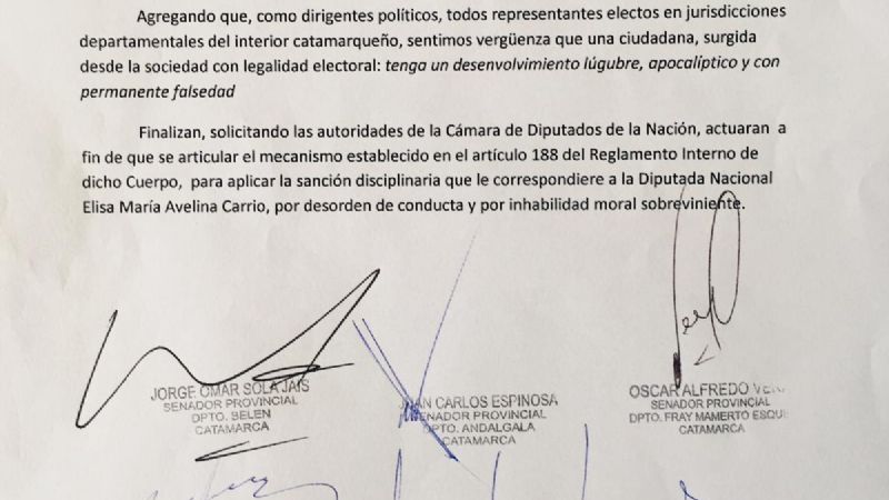 Repudio de senadores a Carrió: “Sentimos vergüenza”