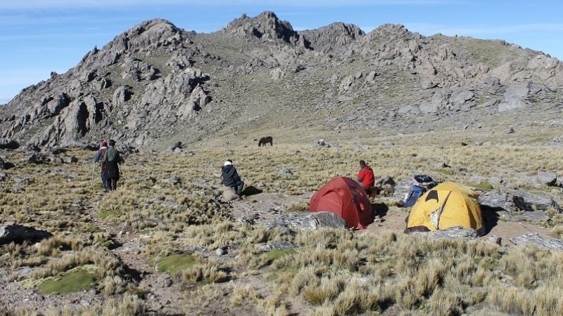 El Manchao, por siempre