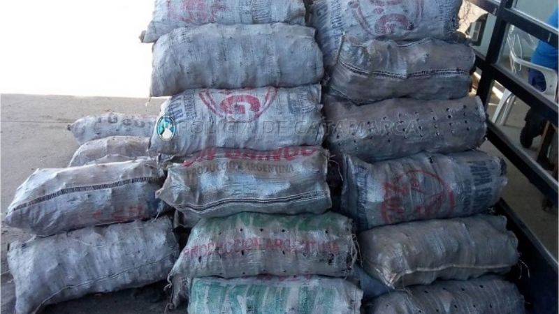 Secuestran carbón y alimentos en un control