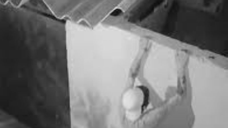 Sorprenden a dos jóvenes saltando una tapia