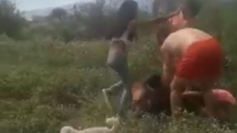 Conflicto familiar terminó con una tremenda pelea y detenidos