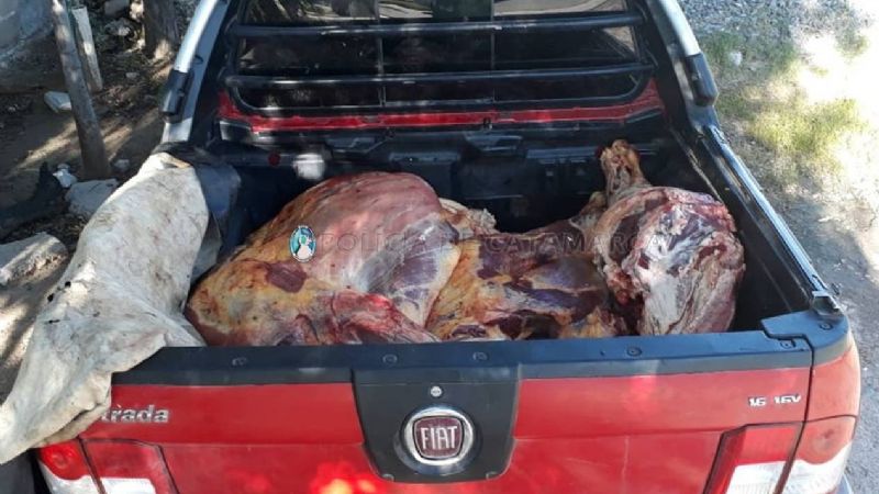 Secuestran 500 kilos de carne en varios vehículos