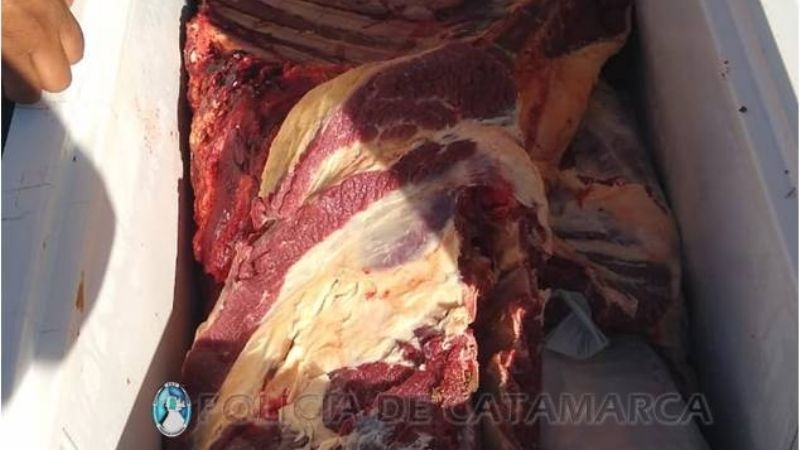 Secuestran 500 kilos de carne en varios vehículos