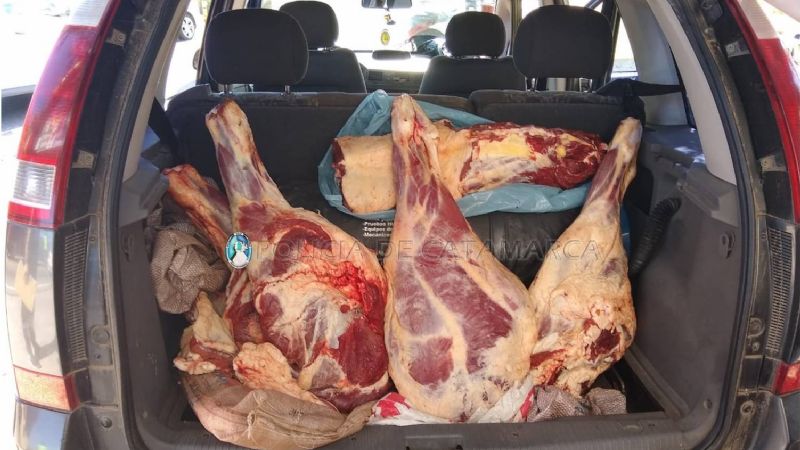 Secuestran 500 kilos de carne en varios vehículos