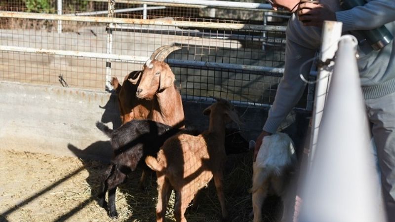 La Granja Educativa Municipal, lista para su lanzamiento