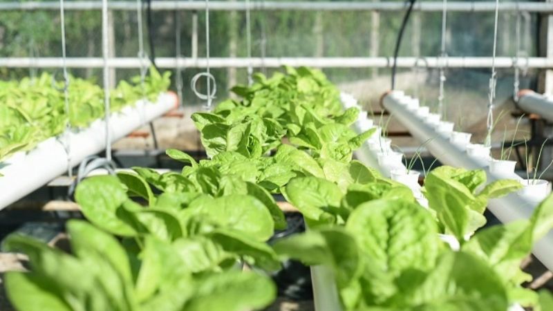 La Granja Educativa Municipal, lista para su lanzamiento