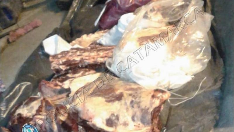 Secuestran 40 Kg. de carne vacuna en el puesto caminero El Portezuelo