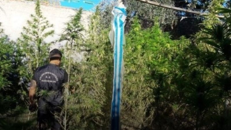 Dos estudiantes de medicina cayeron presas por vender marihuana