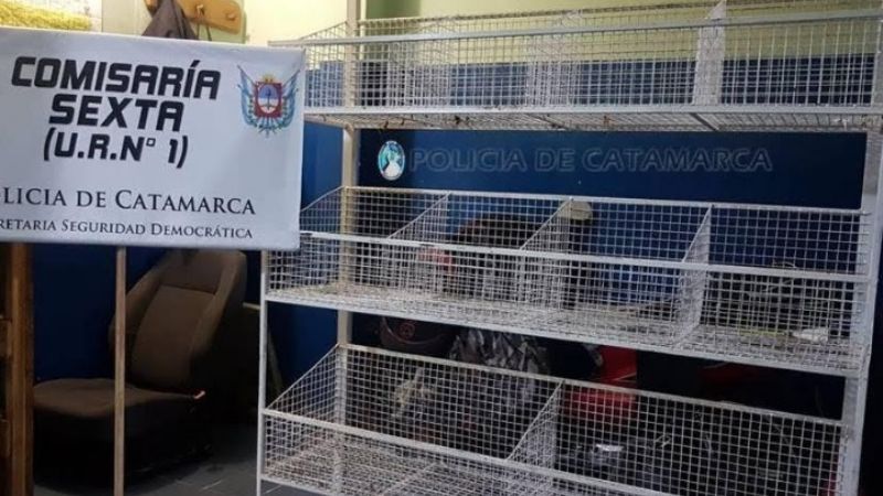 Entregó a su hijo, que había robado