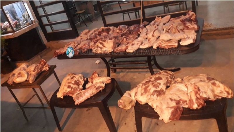 Decomisan carne vacuna y de cerdo en el puesto caminero El Portezuelo