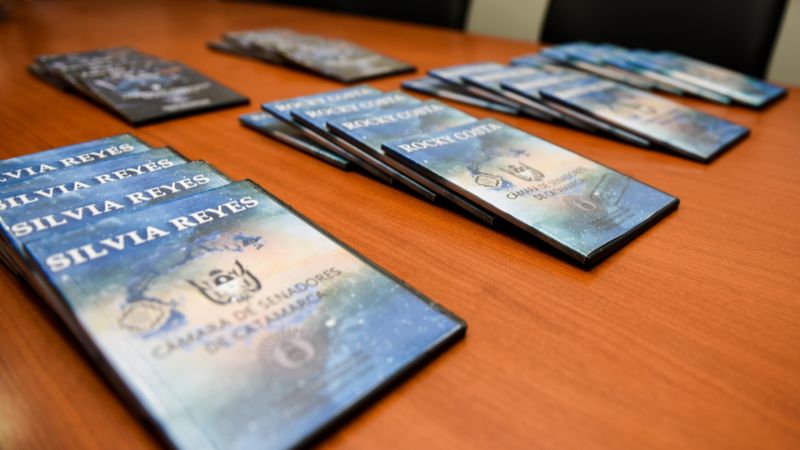 Nuevos másters discográficos a artistas catamarqueños