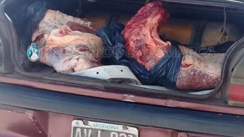Decomisan 80 kilos de carne en El Portezuelo