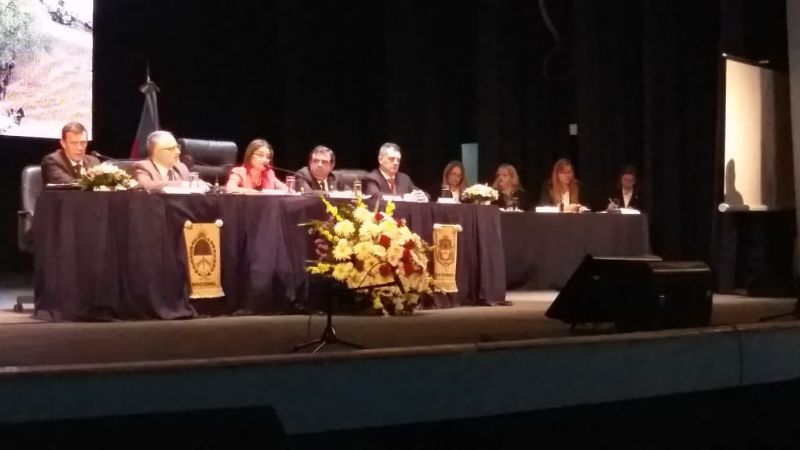 “Muchas veces tomé decisiones que no era lo que deseaba”