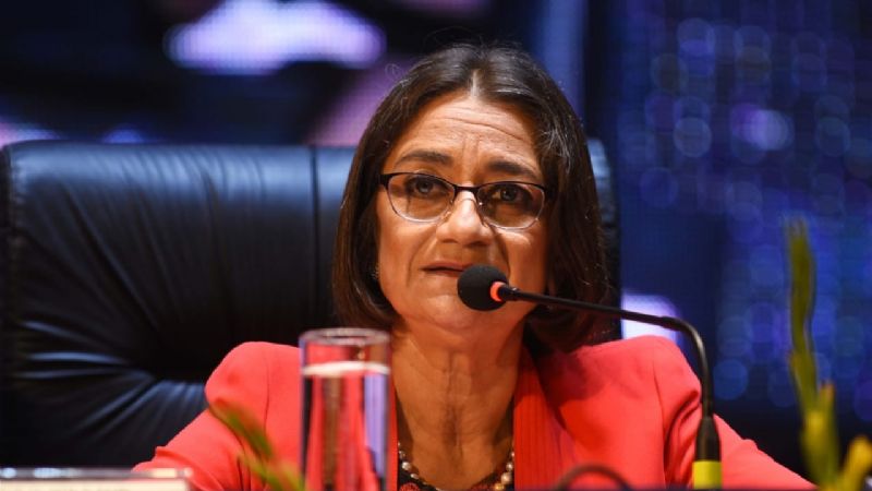 En las boletas de luz, se detallará lo destinado a CAMMESA