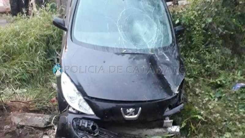 Chocó contra un poste de luz y el alambrado de una casa