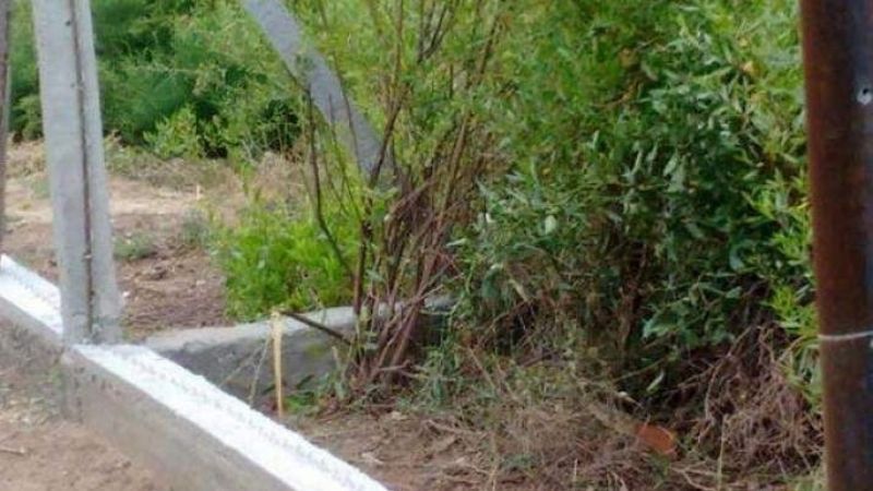 Detenido por intentar robar el alambrado de un club