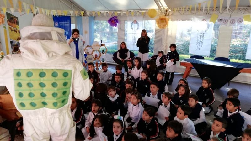 Actividades por la Semana de la Miel