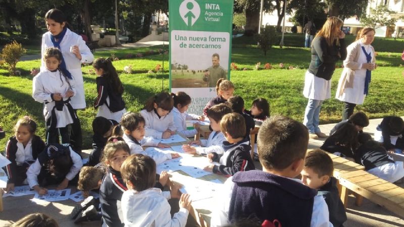 Actividades por la Semana de la Miel