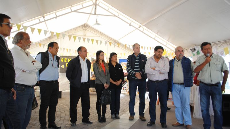 Actividades por la Semana de la Miel