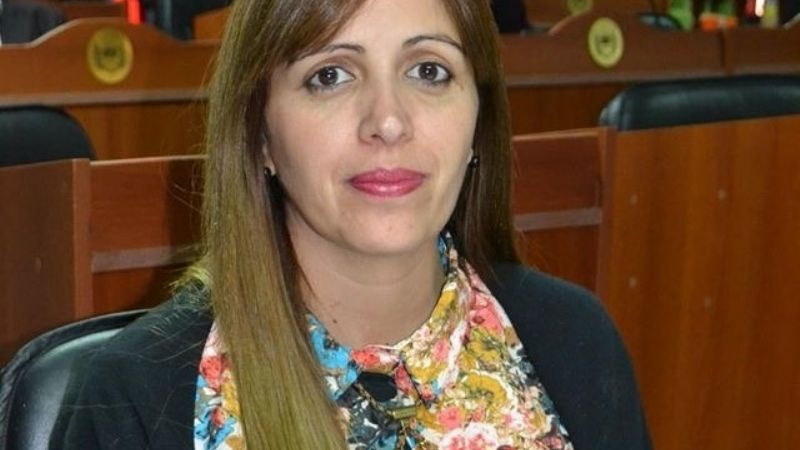 Reforma de la Constitución: "La oposición especula y pone excusas"