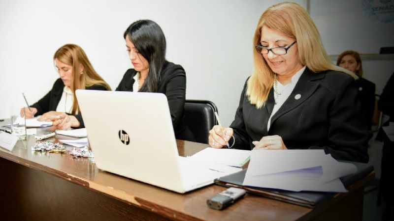Media sanción de proyectos en el Senado