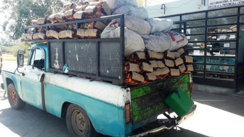 Transportaba gran cantidad de carbón en forma ilegal