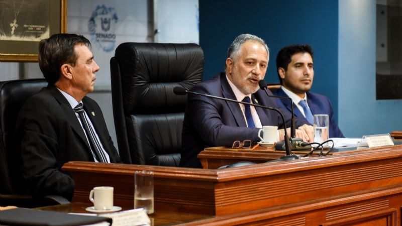 Primera sesión ordinaria de la Cámara de Senadores