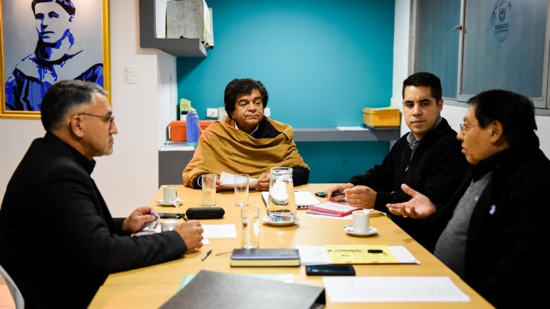 Despachos de la Comisión de Instrucción Pública