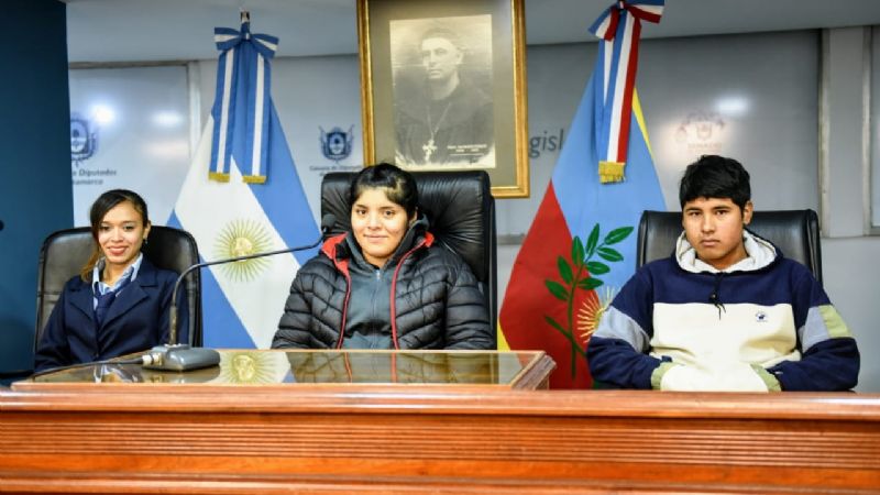 Alumnos de la Escuela “Bicentenario de la Plata” visitaron el Senado