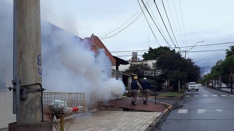 Confirman caso de dengue positivo en Catamarca
