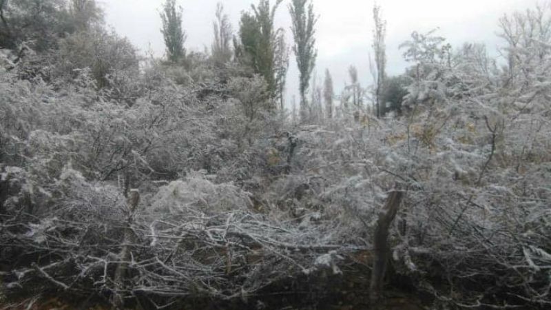 La nieve llegó a Fiambalá