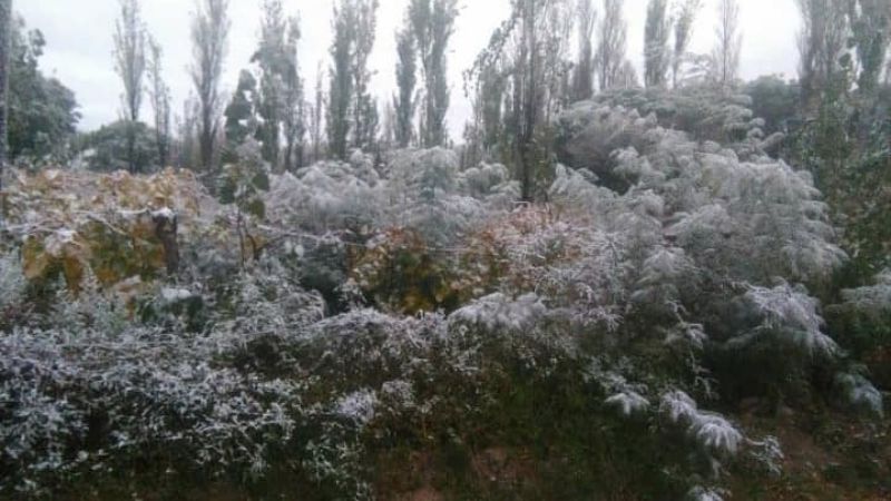 La nieve llegó a Fiambalá