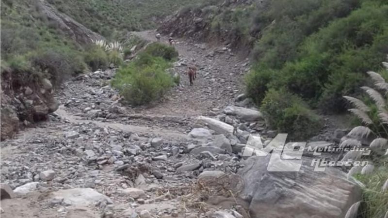 Pobladores de Río Grande piden la reparación de la ruta