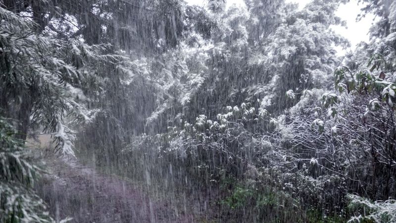Lo que dejó el frío polar de los últimos días