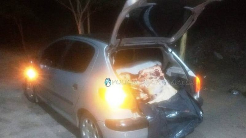 Llevaba 180 kilos de carne escondidos en el baúl del auto