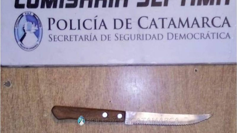 Causó desorden en una vivienda e intentó agredir a policías