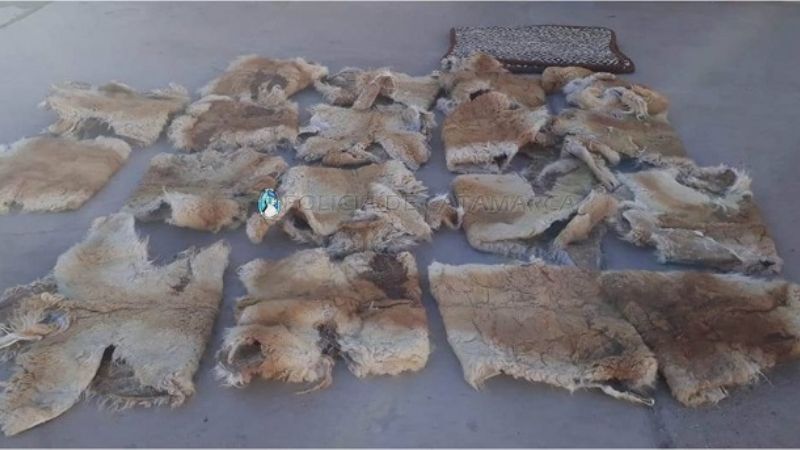 Aprehenden a tres personas tras un accidente en Santa María