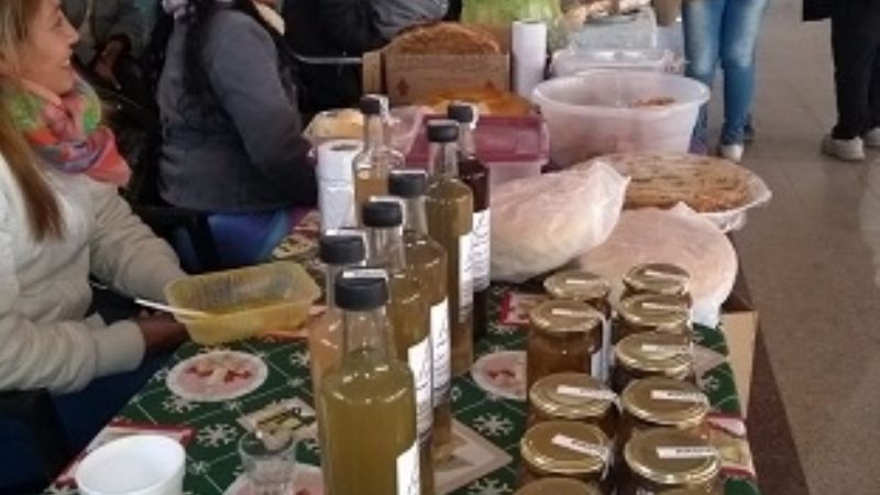 Feria de semillas de la cultura viva