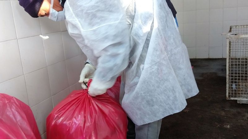 El Hospital de Niños fue certificado por Nación como Hospital Verde