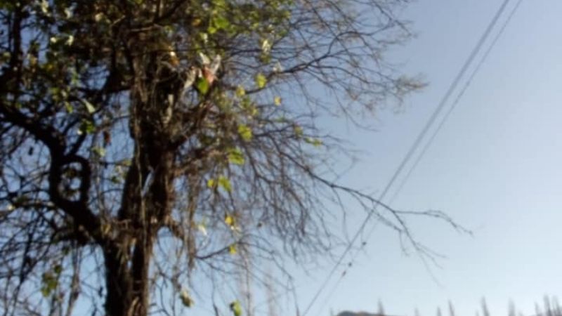 Trabajos para mejorar el servicio eléctrico en el interior