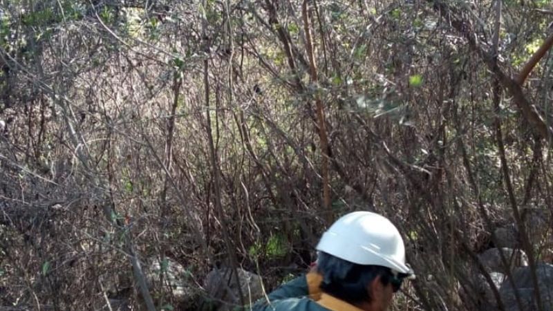 Trabajos para mejorar el servicio eléctrico en el interior